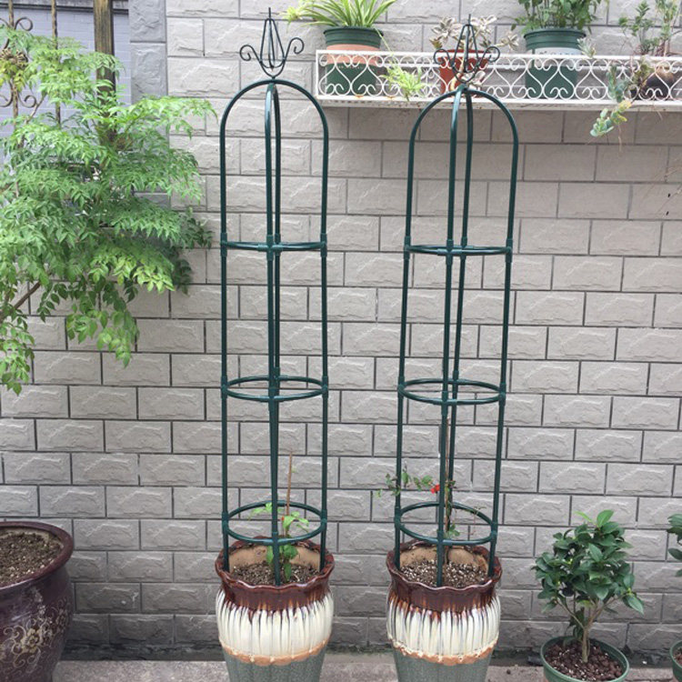 初见玫瑰铁艺花架圆柱藤铁线莲图片