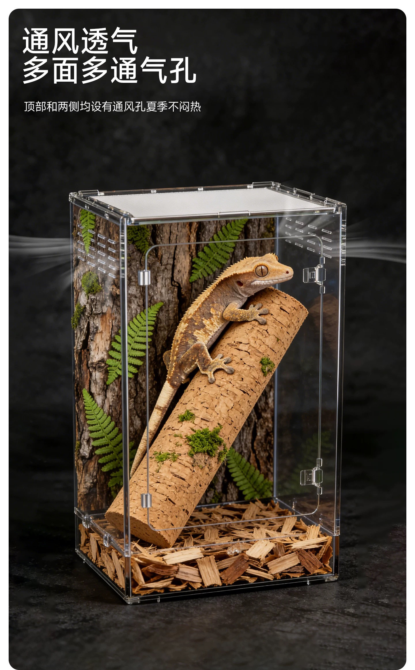 爬虫前开门高透饲养盒PC盒守宫蜥蜴角蛙蜘蛛宠物蛇塑料盒造景爬箱