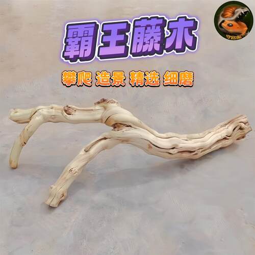 爬宠虫造景藤木霸王树栖装饰沉枯鬃狮蜥蜴睫角豹纹肥尾守宫晒背台