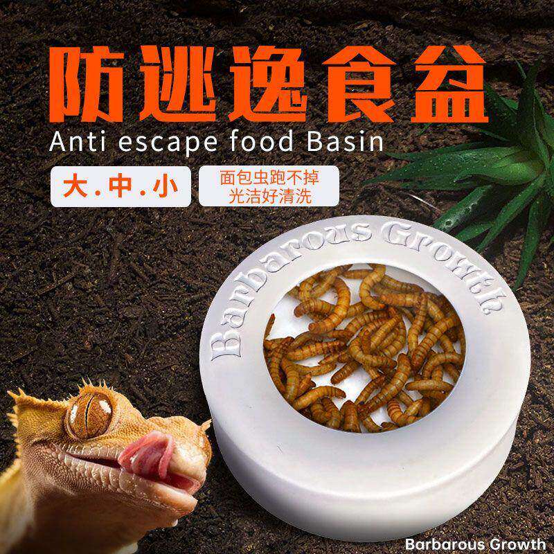 爬宠守宫蜥蜴塑料水盆食盆喝水吃饭碗大号小号豹纹食盆乌龟水碗