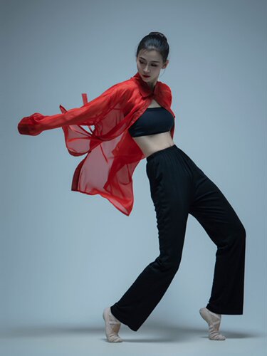 现代舞舞蹈练功服飘逸中国舞蹈服宽松衬衫写真拍照衬衣古典舞服装