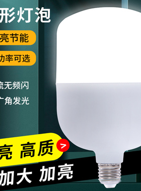 led灯泡l节能照明超高亮家用60We27螺口螺旋防水大功率商用日光灯