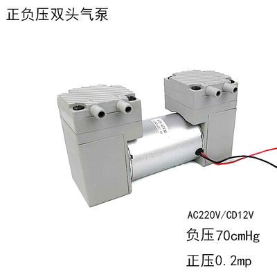 厂家直销小型静音12V220V正负压大流量美容仪器隔膜双头真空气泵