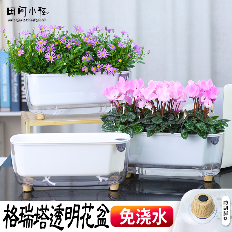 塑料创意免浇水长条形花盆