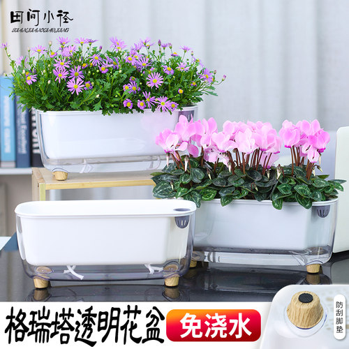 塑料创意免浇水长条形花盆