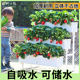 阳台种菜盆多层种菜专用箱立体菜架子免浇水种菜箱顶楼草莓盆花架
