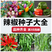 辣椒种子种苗朝天椒螺丝椒种籽四季 种植甜椒彩椒高产阳台蔬菜种孑