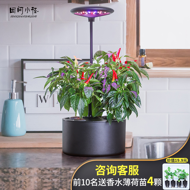水耕无土栽培价格 水耕无土栽培图片 星期三 水耕无土栽培价格 水耕无土栽培图片 星期三
