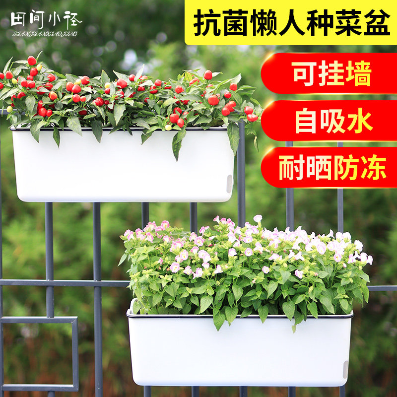 懒人花盆种菜盆免浇水家庭蔬菜花卉种植箱大号长条塑料壁挂花盆