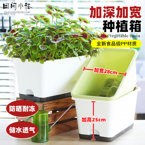 种菜专用箱蔬菜种植箱阳台种菜加深长方形塑料花盆顶楼长条种菜盆