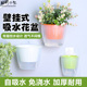 壁挂花盆挂壁吊篮办公阳台自动吸水盆绿植花卉吊兰绿萝简约小花盆