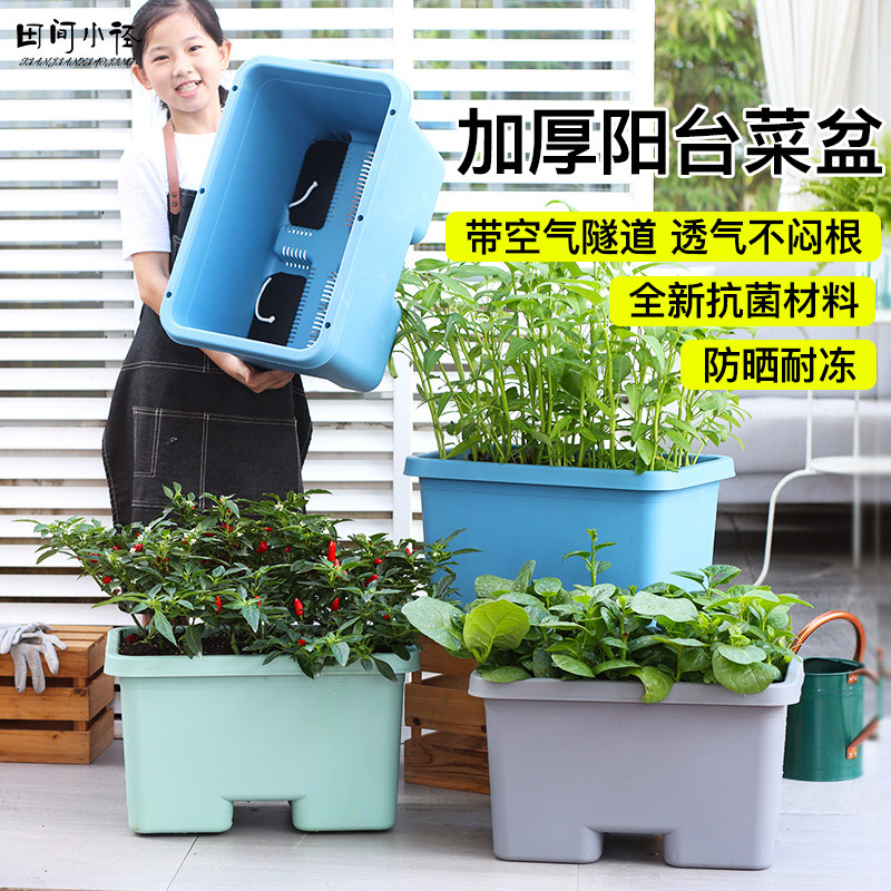 阳台种菜盆室内大号花盆种菜专用箱蔬菜种植箱长方形家庭种菜神器