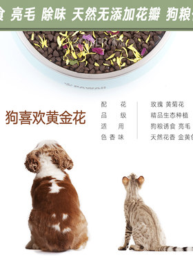 天然生态狗喜欢黄金花100g干花瓣 狗粮猫粮伴侣诱食干花