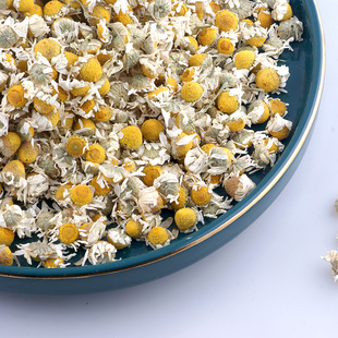 生态种植罗马洋甘菊花干 50g 纯露 花茶专用原料 满包邮