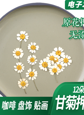 素尔装饰花餐饮烘焙咖啡
