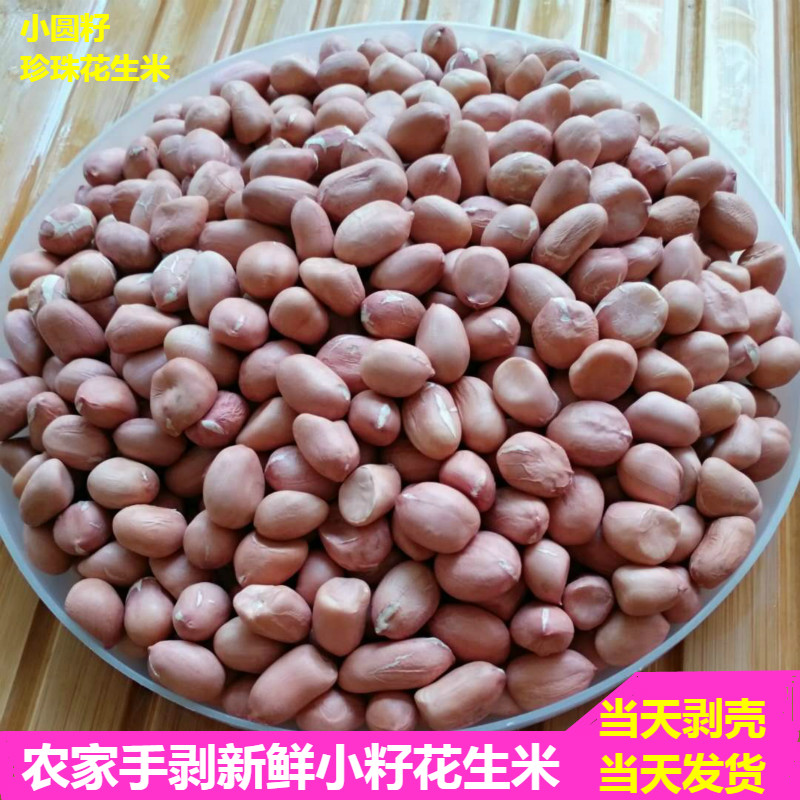 农家小粒花生米生手剥新鲜5斤散装生小瘪子小籽珍珠圆花生仁新货3