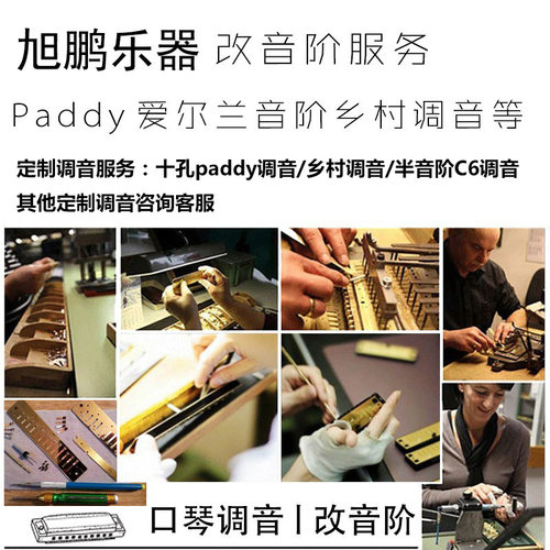 口琴调音服务paddy爱尔兰乡村