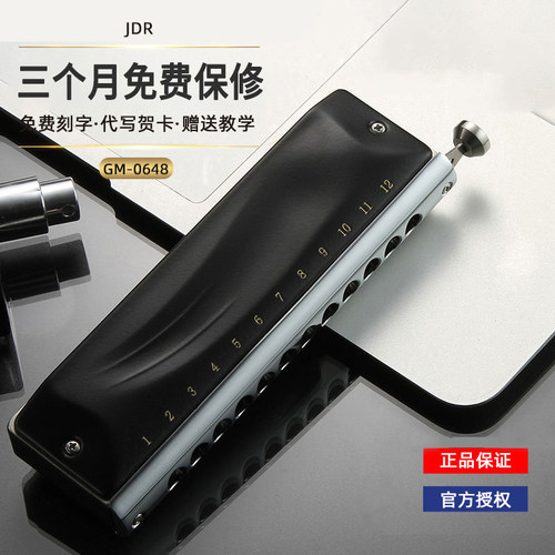 jdr孔c调初学练习演奏半音阶口琴