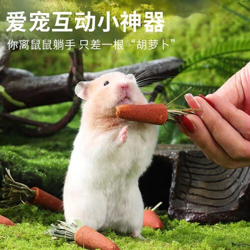 仓鼠胡萝卜磨牙棒小零食饼干粮食可吃造景用品金丝熊兔子草饼玩具