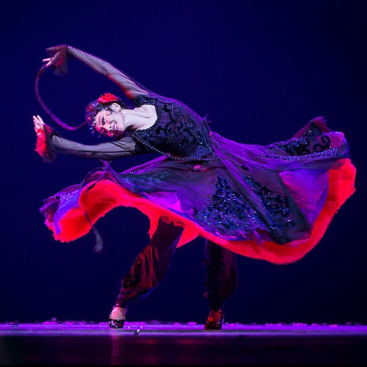 专业桃李杯民族舞蹈包邮