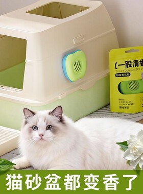 多用途除味香氛厕所卫生间除臭家用室内衣柜鞋柜香薰去除异味持久