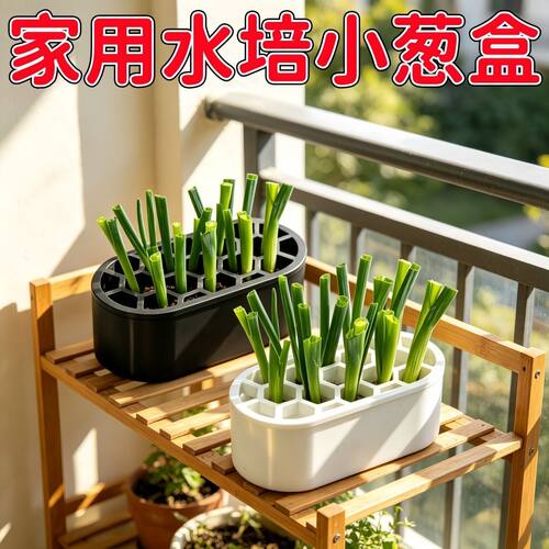 升级葱花水培套装免土免技巧快速收割阳台窗台家庭种植盒