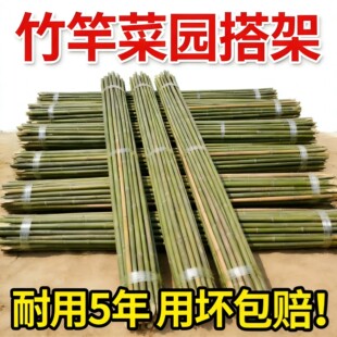 竹竿棍菜园爬藤架搭架子竹子杆蔬菜架竹黄瓜豆角庭院栅栏竹竿篱笆