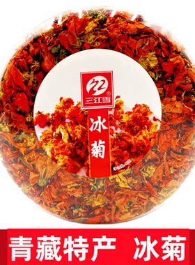 青海三江雪冰菊雪菊花昆仑山