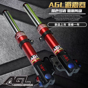 新款AGL30芯前减震鬼火福喜RS巧格酷奇AS巧格i赛鹰前叉改装前避震
