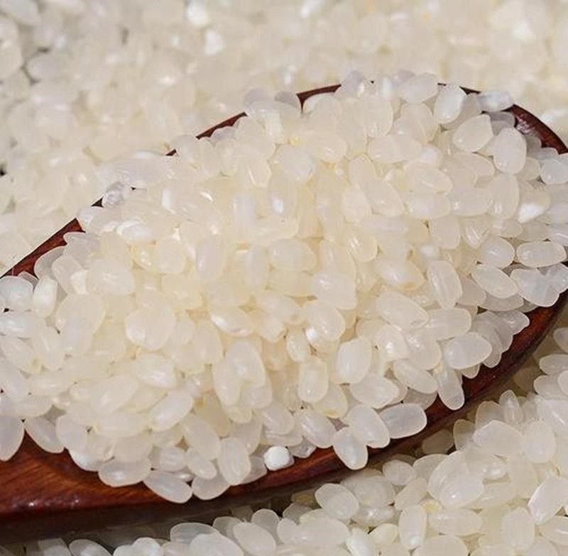 苏州常熟香米2021年新米20斤南粳46大米粳米圆粒老人宝宝软糯香