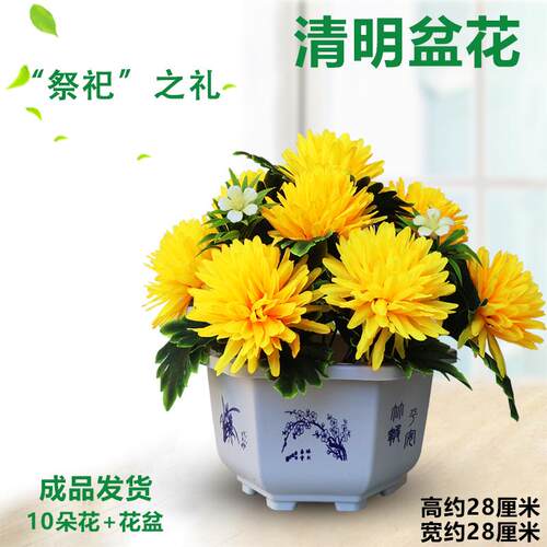 清明节上坟祭祀用品菊花盆花篮