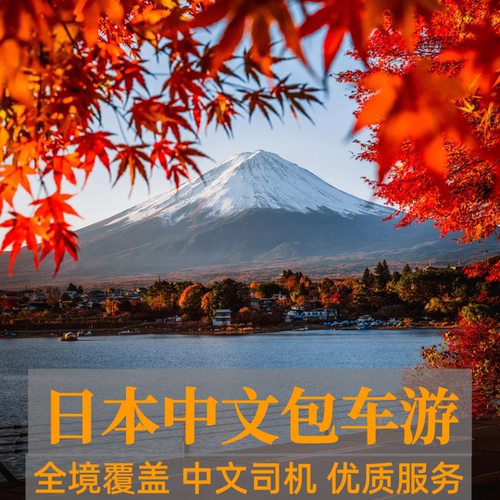 中文司机安全放心优质服务