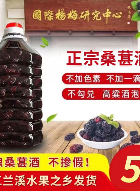 高山桑葚酒自酿高度酒桑果酒桑椹果酒52度高粱酒浸泡5斤浙江特产