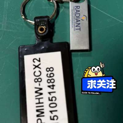 Radiant Vision Systems加密狗，型号IC议价