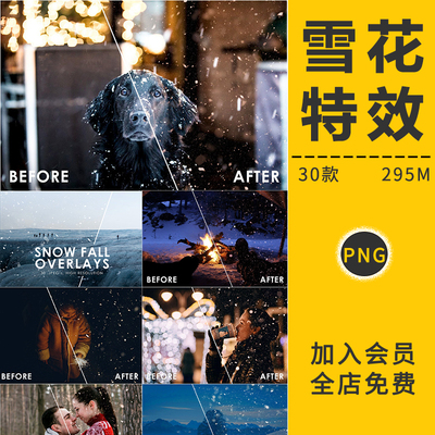 圣诞节雪花冬季下雪飘雪天景背景纹理影楼后期合成PNG免抠元素材