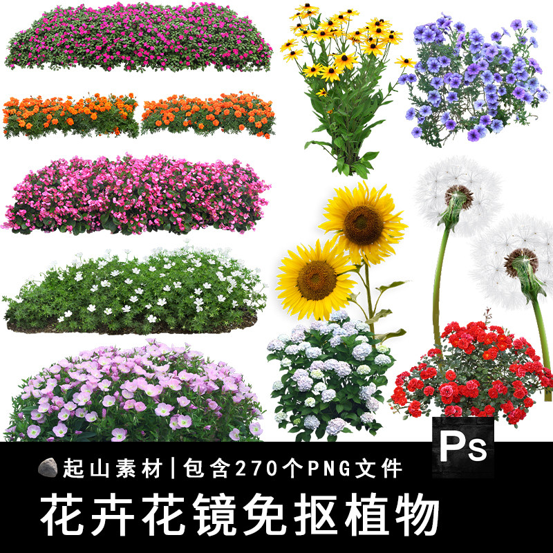 高清花卉植物procreate花镜花坛效果图png免抠图带名称景观ps素材