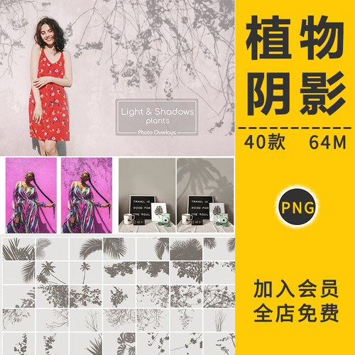 植物花卉阴影自然光影树叶阳光叠层特效果PNG免抠影楼后期PS素材