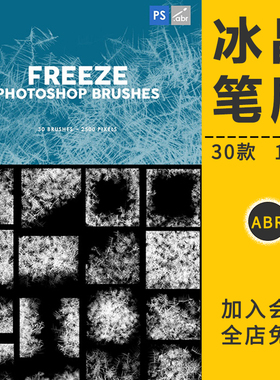 冻结冰晶雪花结冰笔刷冬季霜冻冰花结晶窗户冰纹理后期合成PS素材