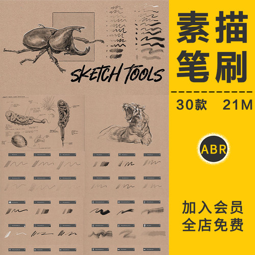 速写素描手绘笔刷铅笔钢笔细线笔毛笔马克笔线稿线描条插画PS素材