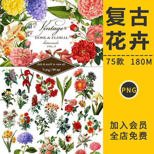 PS复古植物花卉手绘花朵水彩鲜花玫瑰牡丹郁金香百合PNG免抠素材