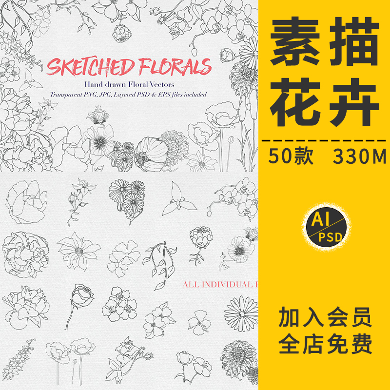 手绘铅笔素描植物花卉线稿鲜花艺术草本产品包装PNG免抠PS元素材