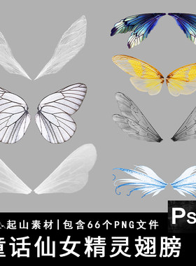 高清梦幻精灵仙女蜻蜓蝴蝶昆虫翅膀png免抠图片合成特效素材