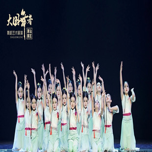 风吹稻花香两岸舞蹈儿童古典舞演出服红色记忆经典心尖尖剧目服装