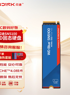 闪迪SN5100电脑m.2固态硬盘1tb笔记本2TB台式机500g原厂颗粒SSD