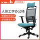 DAMUZHI人体工学椅电脑椅家用舒适久坐办公会客椅书房椅电竞座椅