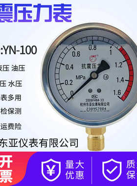 东亚仪表YN-100水压油压气压表径向耐震抗震压力表1.6/25MPA包邮