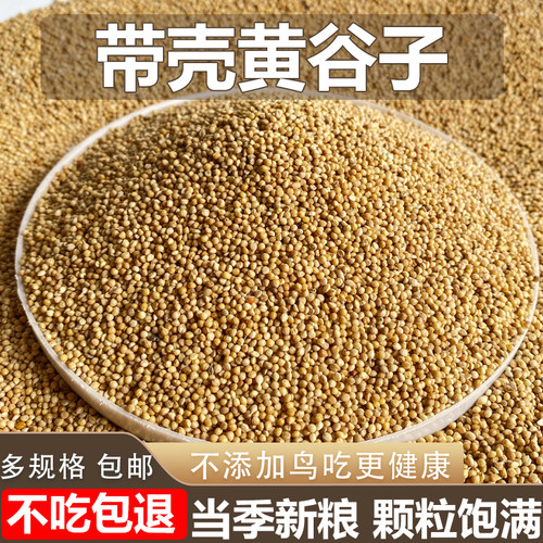 新带壳黄谷子鹦鹉鸟粮鸟食粮食