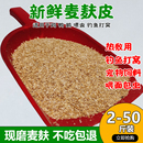小麦麸喂鸡鸭鹅喂面包虫吃粗粗细麦麸饲料原料钓鱼麦麸小麦麸皮粉
