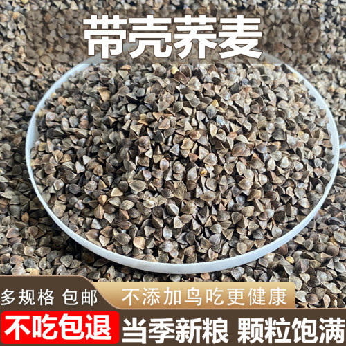 带壳荞麦鹦鹉鸟粮大中型鹦鹉鸟食