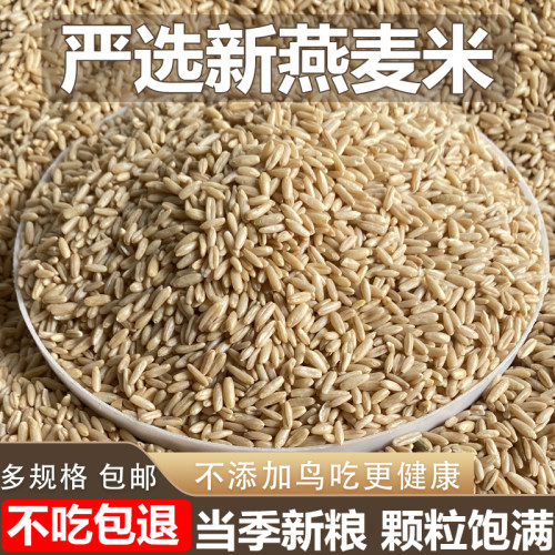 燕麦米玄凤小太阳鸟粮饲料鸟食